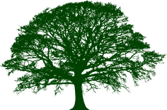 Suwanee Lumber Co. logo